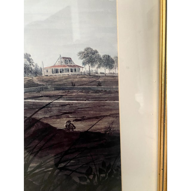 Vintage John James Audubon Snowy Heron or White Egret Print Beautifully Matted and Framed For Sale In Denver - Image 6 of 7