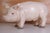 Vintage Large Butcher's Pig Shop Display, Former Czechoslovakia, 1980s For Sale - Image 11 of 12