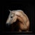 Petrichor by Che Leviathan | Oil on Panel Portrait of a Horse For Sale