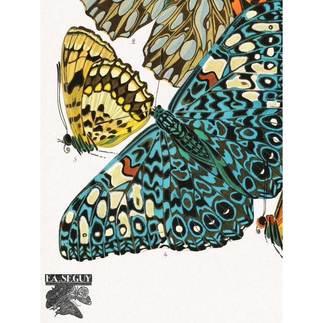 Vintage Butterfly Illustration, Art Deco Insect Print Reproduction, 1925, 18" × 24" For Sale - Image 4 of 6