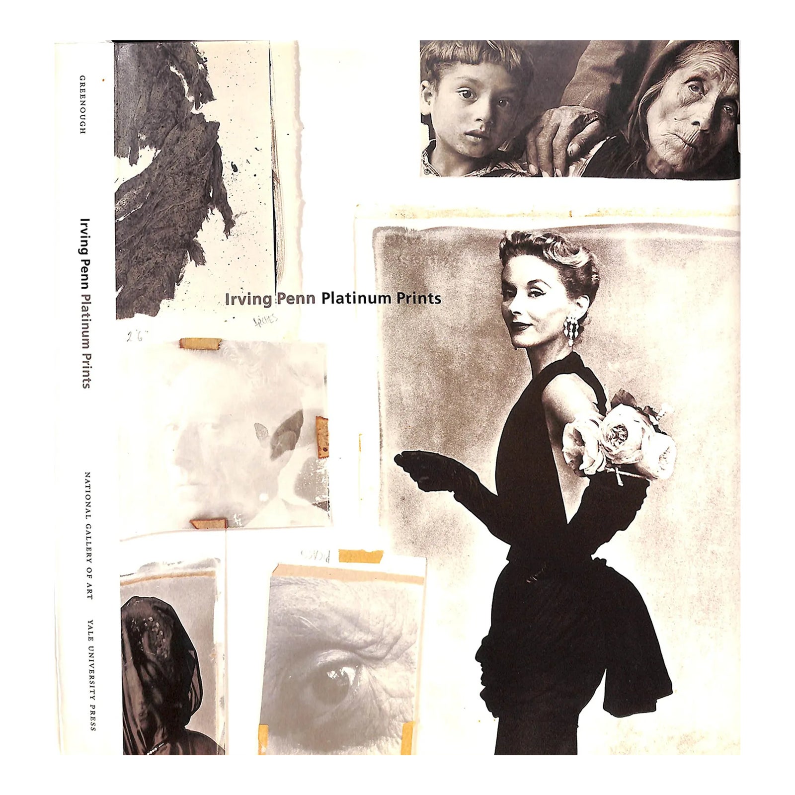 Irving Penn: Platinum Prints