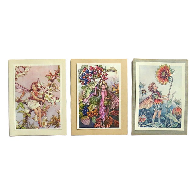 Set of 10 Cicely Mary Barker Flower Fairy Prints For Sale - Image 4 of 4