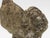 Gray Reconstituted Stone Dove Garden Ornament, English Mid 20th C, For Sale - Image 8 of 9