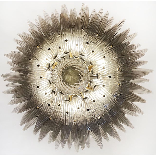 Palmette Ceiling Light with 104 Smoked Glasses, 1980s For Sale - Image 13 of 18