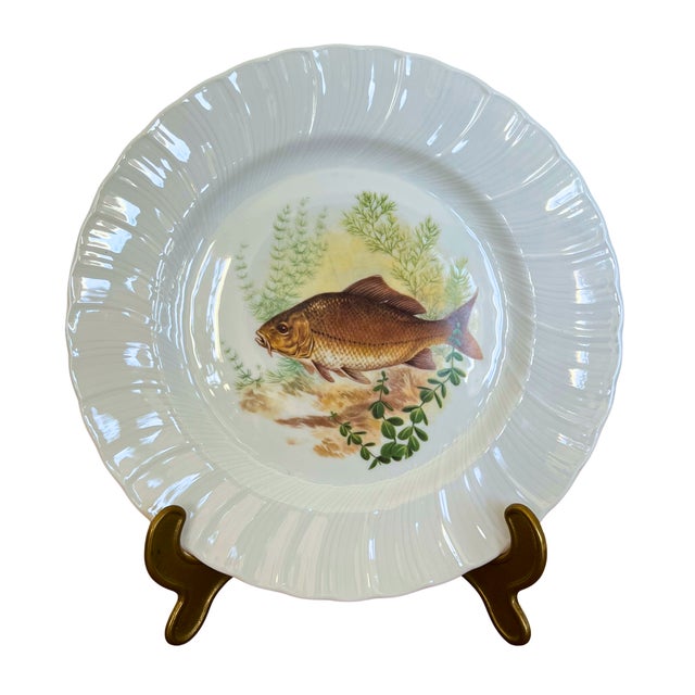 Green Porcelain Fish Plates Service for 12 with Hand-Painted Freshwater Fish from Limoges, France, 1930s, Set of 12 For Sale - Image 8 of 11