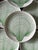 Art Deco Fitz and Floyd Green Seashell Plates - Set of 12 For Sale - Image 3 of 7