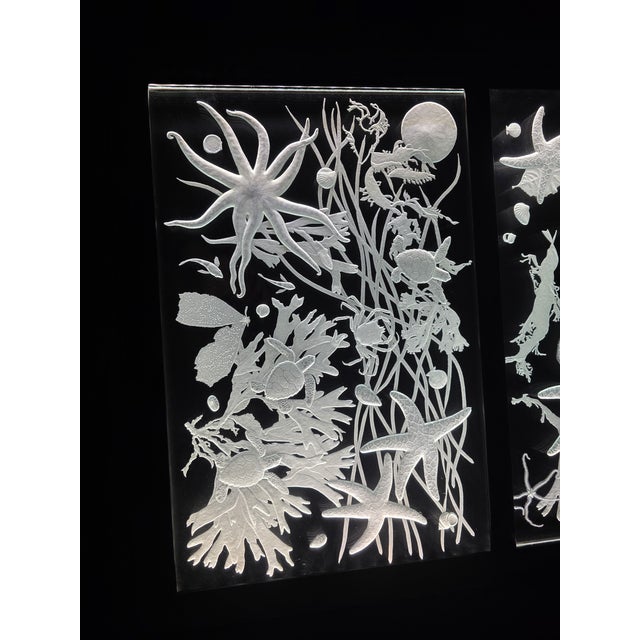 Hand Engraved Sea Life Glass and Metal Coffee Table For Sale - Image 12 of 15