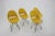 Mid-Century Yellow Fiberglass Dining Chairs by M. Navratil, 1960s, Set of 4 For Sale - Image 4 of 16