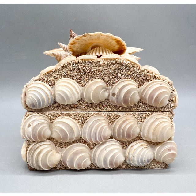 Shell Vintage Handmade Seashell Encrusted Lidded Box – Coastal / Organic Modern For Sale - Image 7 of 14