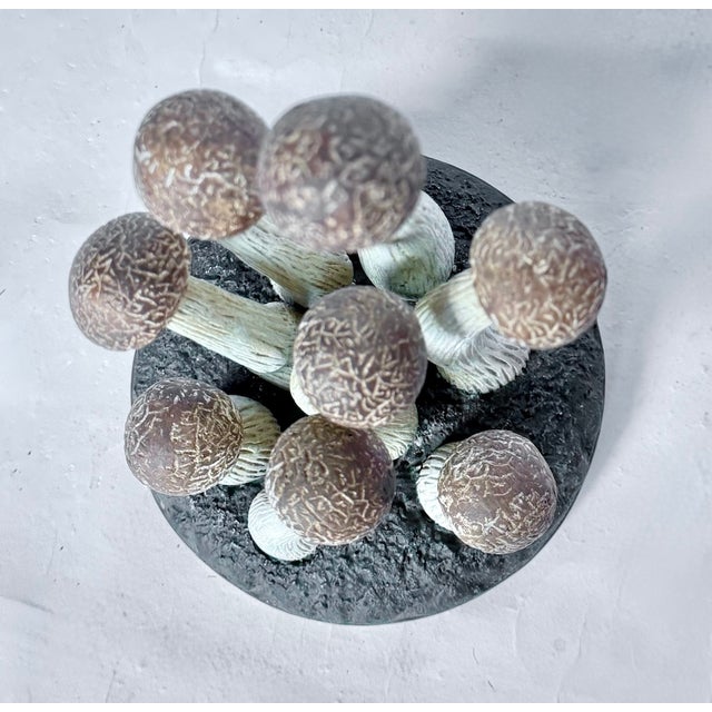 Vintage Mushroom Model Specimen Sculpture For Sale - Image 4 of 6