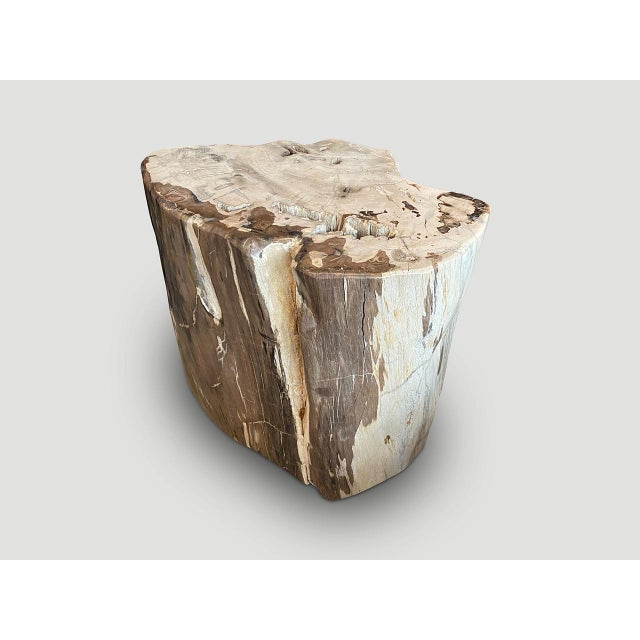 Brown Andrianna Shamaris Ancient Petrified Wood Side Table or Coffee Table For Sale - Image 8 of 18