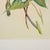 Early 21st Century Oversized Vintage John Gould Hummingbird & Floral Print | Matted 24 X 32 For Sale - Image 5 of 6