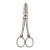 1950s Clauss Cutlery Garden Club Silver Plated Shears For Sale