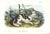 1854 Audubon Quadruped Octavo Lithograph "Plate 132 Hare Indian Dog" For Sale