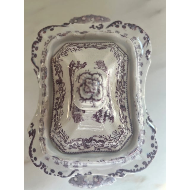 Antique Purple Transferware Staffordshire Sugar Bowl T. Mayer Longport Canova For Sale - Image 4 of 8