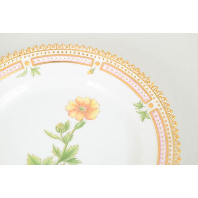 Flora Danica Side Plate in Porcelain from Royal Copenhagen, 1964 For Sale - Image 3 of 5