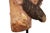 Spanish Polychromed Carved Head of Christ as Ecce Homo, Early 18th Century For Sale - Image 10 of 18