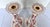 1981 Royal Crown Derby "Red Aves" Fine Bone China Candlesticks - A Pair For Sale - Image 18 of 18