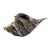 Vintage MCM Murano Style Blown Cased Glass Tiger Striped Conch Shell Figurine For Sale