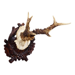 Antique Black Forest Red Deer Trophy on Carved Plaque - Germany Ca. 1910 For Sale