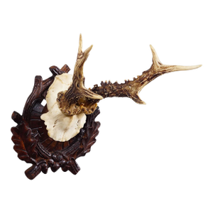 Antique Black Forest Red Deer Trophy on Carved Plaque - Germany Ca. 1910