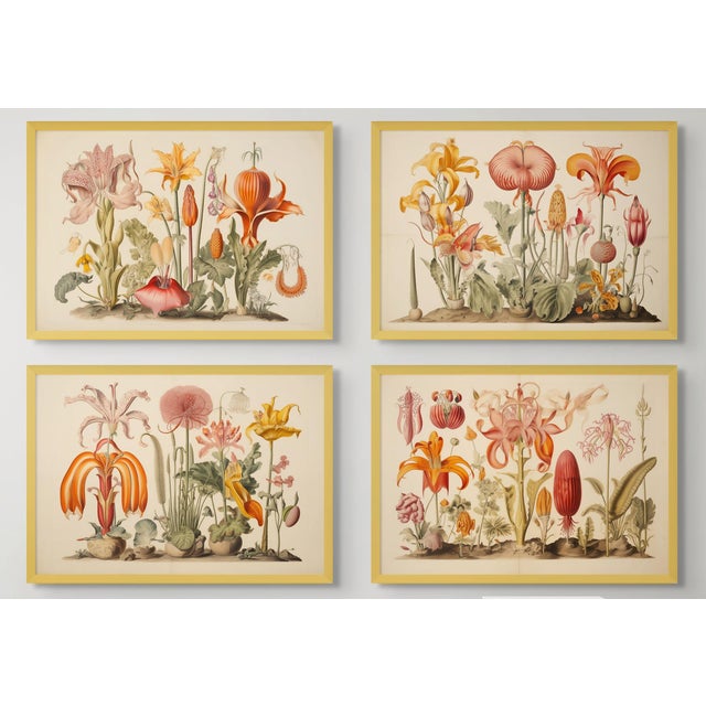 Paper Set of 4 - 18" X 12.5" Botanical Prints 'Hortus Floridus' Style Flowers #4, Unframed For Sale - Image 7 of 7