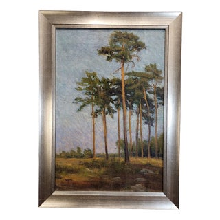 French School Artist, Pine Forest, 20th Century, Oil on Canvas, Framed For Sale