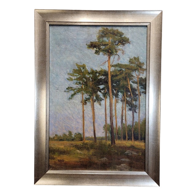 French School Artist, Pine Forest, 20th Century, Oil on Canvas, Framed For Sale