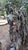 20th Century Italian Nude The Four Seasons Sculptures, Set of 4 For Sale - Image 12 of 16