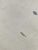 Hand Knotted Modern Wool Rug. 08'02" X 10'00" For Sale - Image 4 of 4