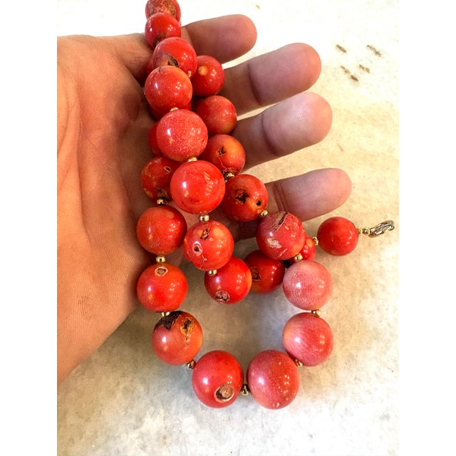 Coral Beaded Necklace With Gold Toe Clasp Designed by Matthew Izzo For Sale - Image 4 of 4