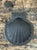 This vintage Italian black porcelain shell box combines sculptural form with practical function. Crafted in porcelain with...