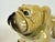 Large Vintage Bulldog Dog Figurine in Porcelain, 1960s For Sale - Image 9 of 10
