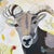 "Ram Stare" a Ram Painting For Sale