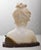 Gino AR, Young Girl Sculpture, 1890s, Alabaster For Sale - Image 9 of 10