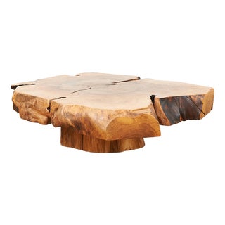 Coffee Table in Burl Wood and Walnut Slab For Sale