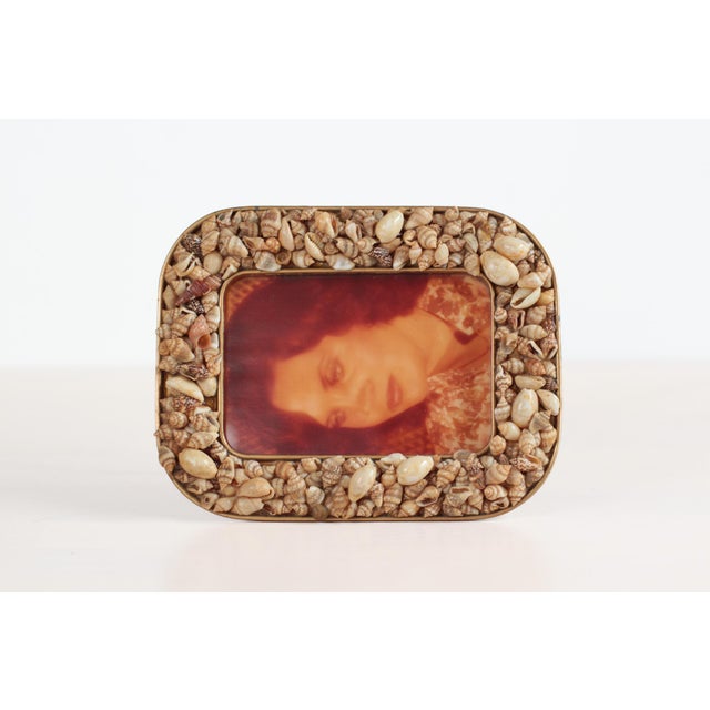 Mid-Century Seashell Photo Frame 7x5.5 For Sale - Image 10 of 12