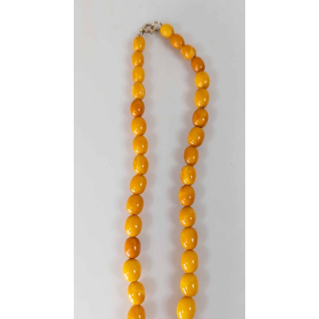 20th Century Butterscotch Egg Yolk Baltic Amber Bead Necklace For Sale - Image 9 of 12