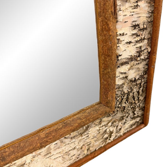 Vintage American Birch Bark Framed Mirror For Sale - Image 10 of 12