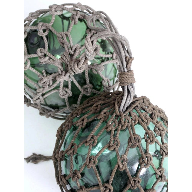 Early 20th Century Antique Glass Fishing Floats For Sale - Image 5 of 13