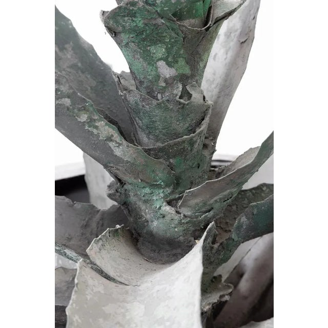 Metal Iron Agave Plant Sculpture, 18th Century For Sale - Image 7 of 10