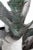 Metal Iron Agave Plant Sculpture, 18th Century For Sale - Image 7 of 10