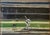 Sidney Goodman, Large American Modernist Oil Painting Baseball Game the Tryout Sidney Goodman, 1965 For Sale - Image 4 of 18