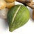 Vintage Italian Hand-Carved Stone Fruit Collection With Grapes, 10 Pieces For Sale - Image 9 of 12