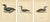 Antique Loon Bird Lithographs with Arctic Loon & Red-Throated Loon, 1929, Set of 3 For Sale - Image 10 of 10