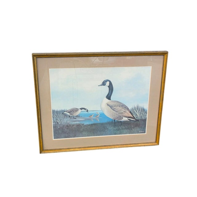 19th Century Beautiful Decorative Painting of Goose Family/ Wood Frame and Glass Cover. For Sale - Image 4 of 14