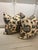 American Custom Namay Samay Talbot Pillows With Contrast Russet Colored Welt - A Pair For Sale - Image 3 of 5