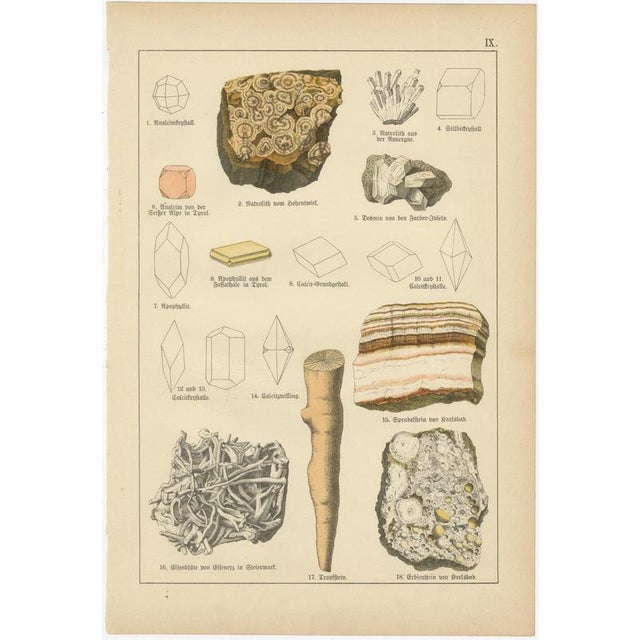 Antique Mineralogy Chromolithographs of Granite, Calcite and Fossil, 1888, Set of 2 For Sale - Image 4 of 12