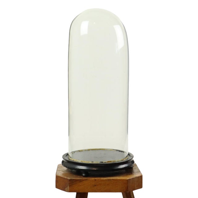 Black Large Antique Mouth-Blown Glass Dome, 1890s For Sale - Image 8 of 14