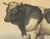 Olivier De Penne, Dutch Bull, Black and White Cattle, 1863, Chromolithograph For Sale - Image 4 of 9